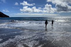 Playa de la Tejita, Tenerife 34