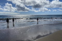 Playa de la Tejita, Tenerife 35