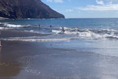 Playa de la Tejita, Tenerife 38