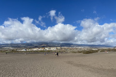 Playa de la Tejita, Tenerife 46