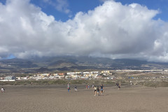 Playa de la Tejita, Tenerife 47
