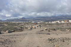 Playa de la Tejita, Tenerife 63