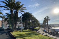 Playa de las Américas, Tenerife 109
