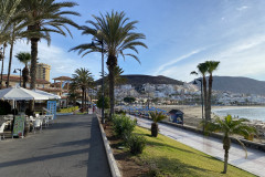 Playa de las Américas, Tenerife 113