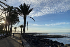 Playa de las Américas, Tenerife 49