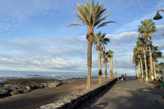 Playa de las Américas, Tenerife 51
