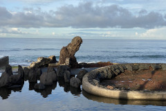 Playa de las Américas, Tenerife 66