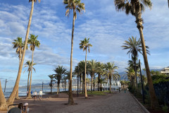 Playa de las Américas, Tenerife 74