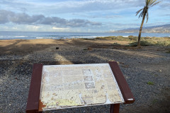 Playa de las Américas, Tenerife 80