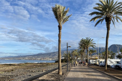 Playa de las Américas, Tenerife 82