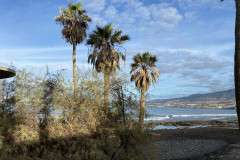 Playa de las Américas, Tenerife 84