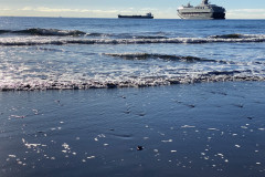 Playa de Las Gaviotas, Tenerife 46