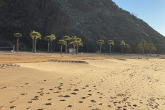 Playa de Las Teresitas, Tenerife 44