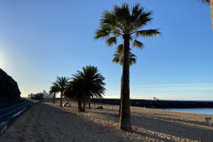 Playa de Las Teresitas, Tenerife 52