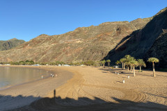 Playa de Las Teresitas, Tenerife 60