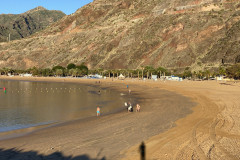 Playa de Las Teresitas, Tenerife 61