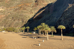 Playa de Las Teresitas, Tenerife 62