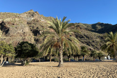 Playa de Las Teresitas, Tenerife 82