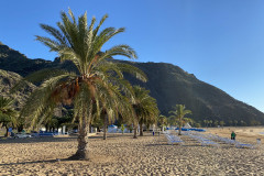 Playa de Las Teresitas, Tenerife 85