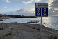 Playa De Los Abriguitos, Tenerife 07