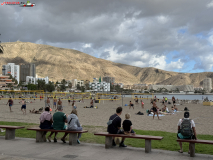 Playa de Los Cristianos, Tenerife 19