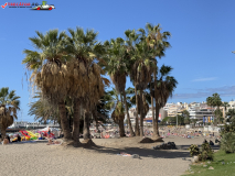 Playa de Los Cristianos, Tenerife 24