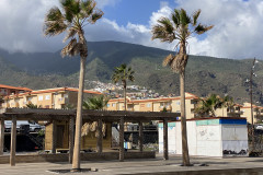 Playa de Punta Larga, Tenerife 21