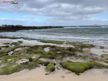 Playa de San Juan Lanzarote 04