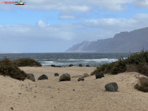 Playa de San Juan Lanzarote 13