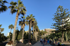 Playa del Castillo, Tenerife 31