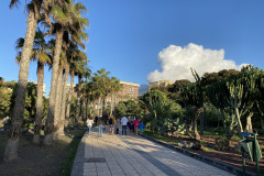 Playa del Castillo, Tenerife 33