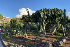 Playa del Castillo, Tenerife 34