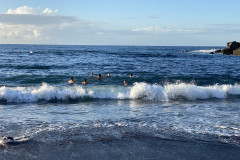 Playa del Castillo, Tenerife 40