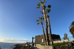 Playa del Castillo, Tenerife 74