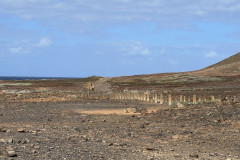 Playa del Confital, Gran Canaria 45