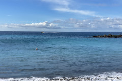 Playa del Duque, Tenerife 19