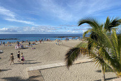 Playa del Duque, Tenerife 42