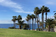 Playa del Duque, Tenerife 48