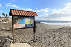 Playa del Pozuelo, Gran Canaria 15