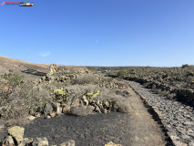 Playa del Risco Lanzarote 65