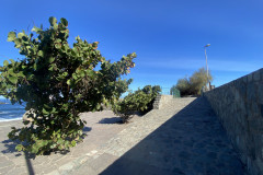 Playa del Roque de las Bodegas, Tenerife 64