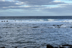 Playa El Puertillo, Gran Canaria 43