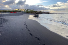 Playa La Jaquita, Tenerife 62