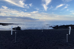 Playa La Jaquita, Tenerife 69