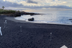 Playa La Jaquita, Tenerife 71