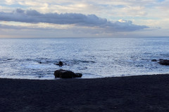 Playa La Jaquita, Tenerife 81