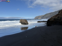 Playa Los Patos, Tenerife 13