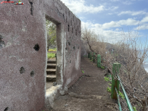 Playa Los Patos, Tenerife 31