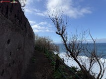 Playa Los Patos, Tenerife 32