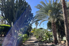 Playa Taurito Mogan, Gran Canaria 11